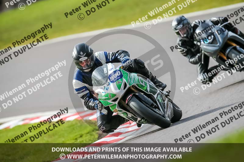 Oulton Park 21st March 2020;PJ Motorsport Photography 2020;anglesey;brands hatch;cadwell park;croft;donington park;enduro digital images;event digital images;eventdigitalimages;mallory;no limits;oulton park;peter wileman photography;racing digital images;silverstone;snetterton;trackday digital images;trackday photos;vmcc banbury run;welsh 2 day enduro